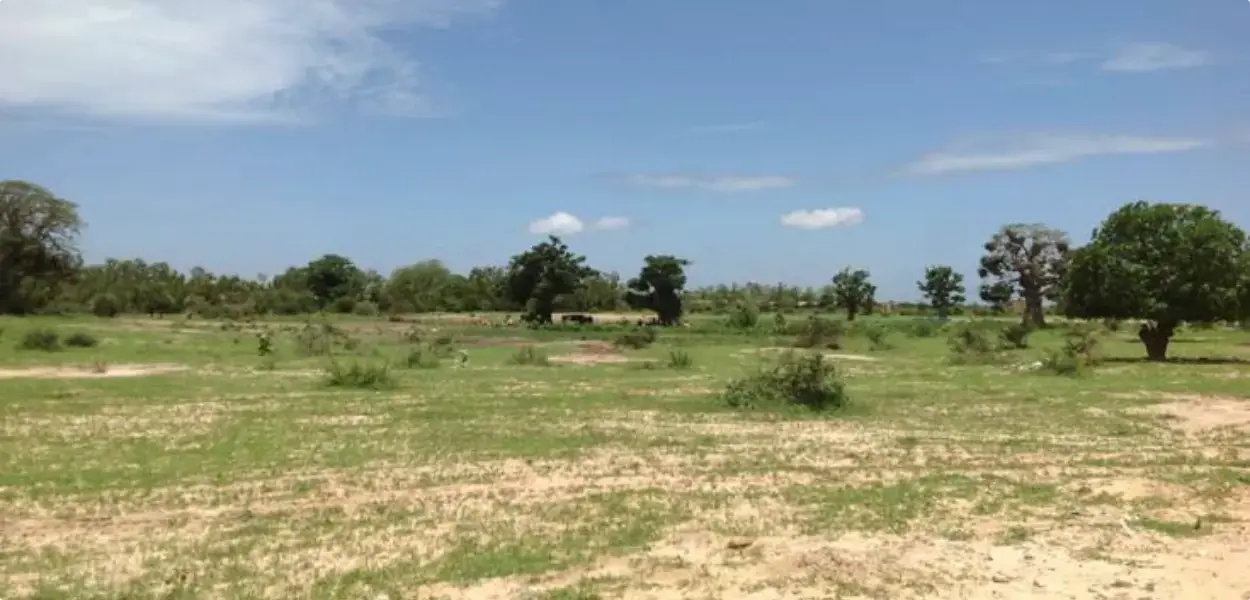 6 Plots Of Estate 750 Sqmts, Banana Island